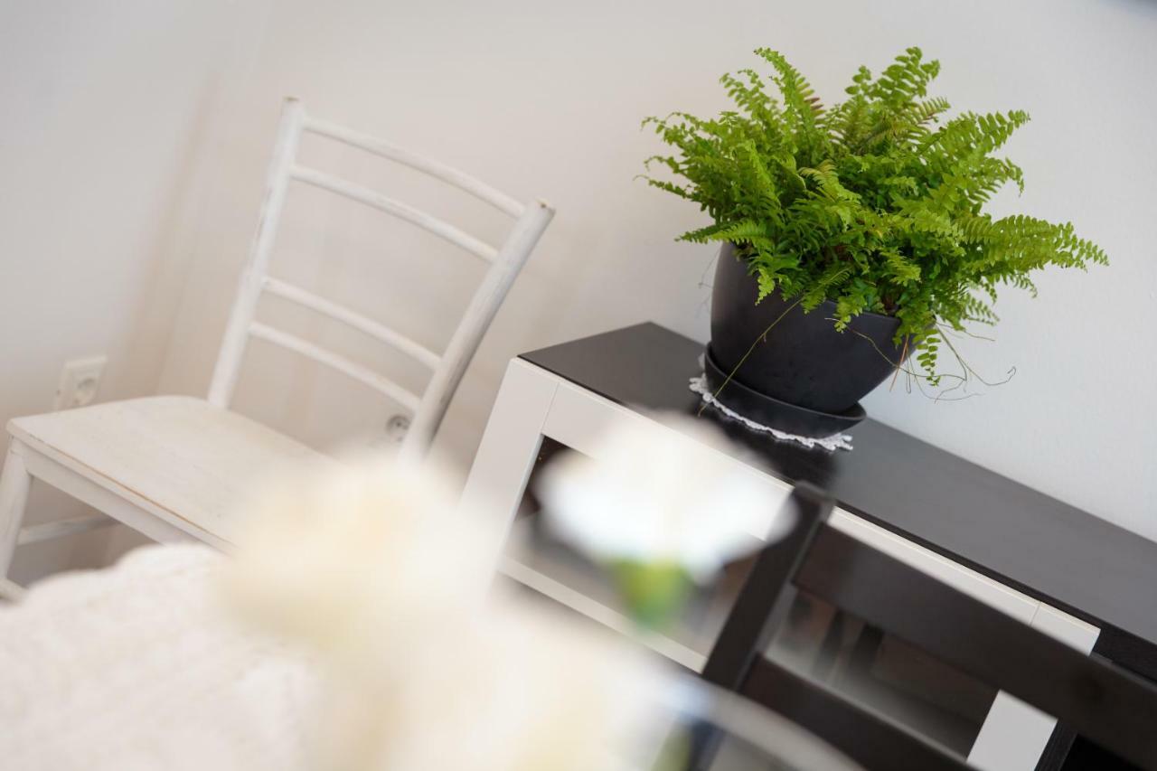 Apartments C52 Rovinj Buitenkant foto