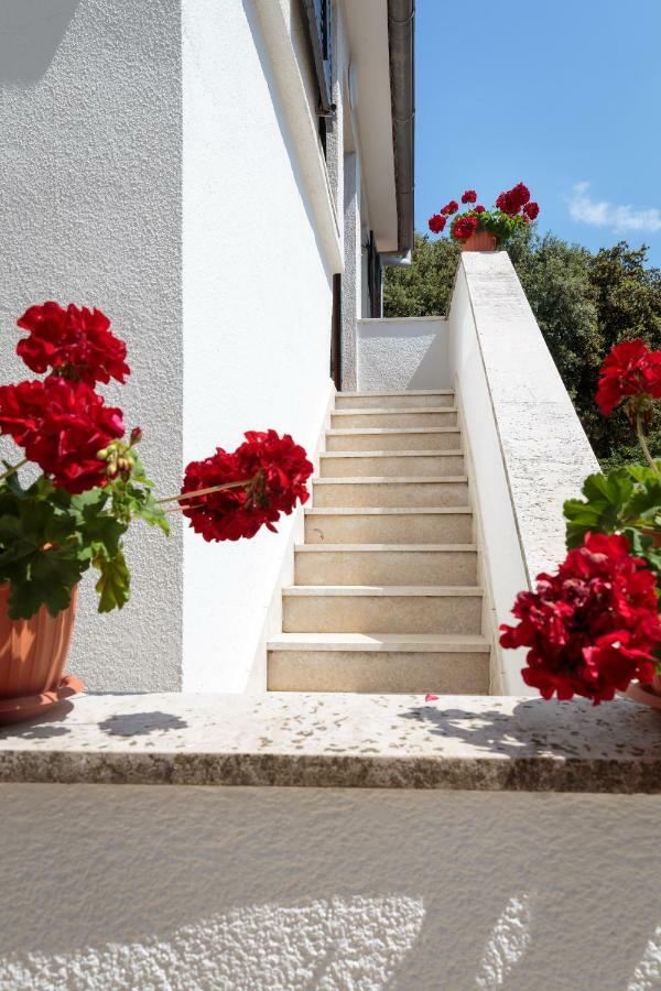 Apartments C52 Rovinj Buitenkant foto